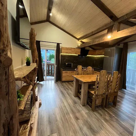 Domek alpejski Family Plai Jaremcze